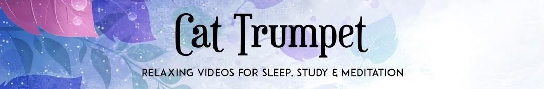 Cat Trumpet Banner