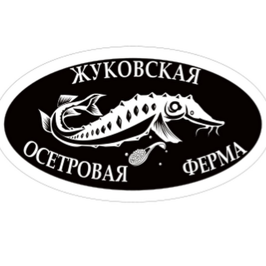 Осетровая ферма воронеж экскурсии. Осетровая ферма. Осетровая ферма на Ярославском шоссе. Осетровая ферма Челябинская область. Осетровая ферма Задонск.