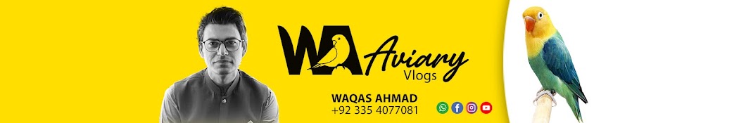 WAaviary Vlogs