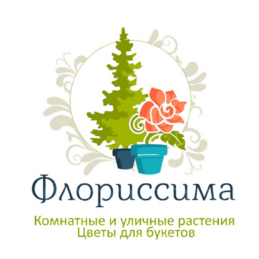 Компания ростов. Флориссима в Ростове-на-Дону. Цветочный центр Ростов. Флориссима Ленинаван. Флориссима в Ростове-на-Дону официальный сайт.