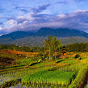 Langit Tarakan