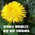 노래하는 갈대 Singing reeds