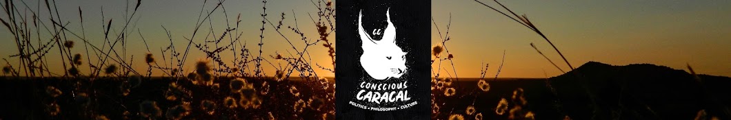 Conscious Caracal