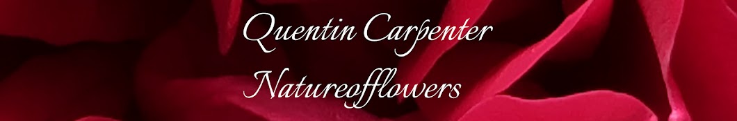 Quentin Carpenter Natureofflowers