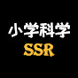 小学科学SSR