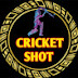 Cricket Shot