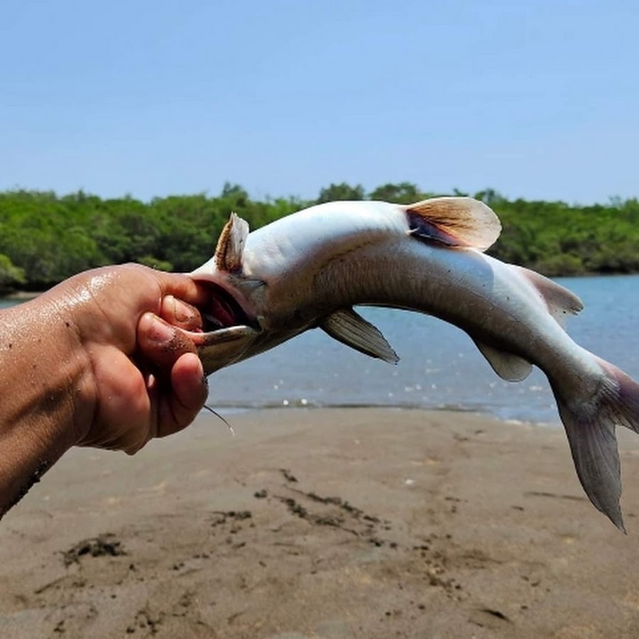 Ganado Pesca y cocina El copinol sv5G @elcopinolsv5goficial