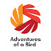 Adventures of a Bird