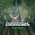 logo Spacemetal