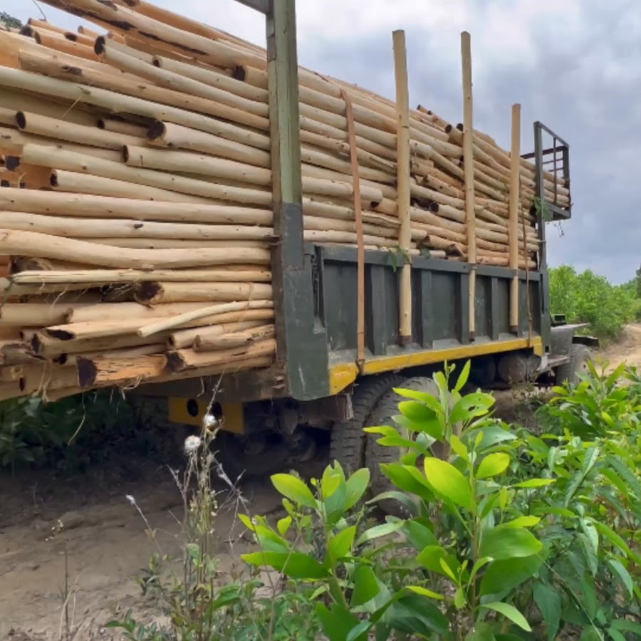 Wood truck