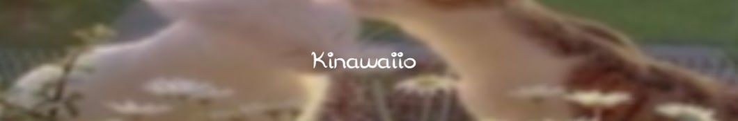 Kinawaiio Banner