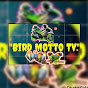 Bird motto tv