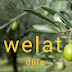 welat dijla