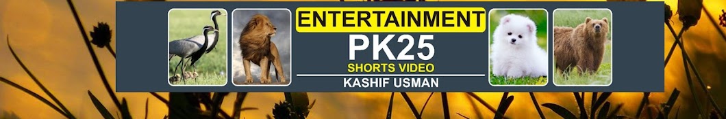 entertainment pk25