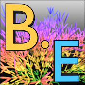 Branch Education Arabic