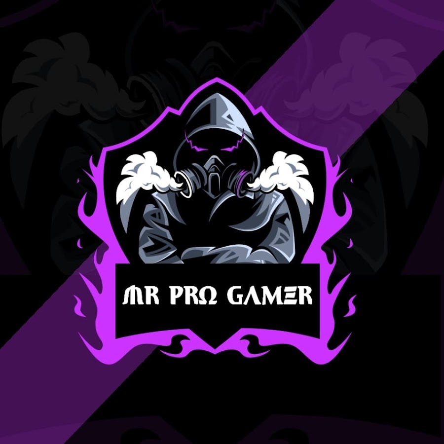Mr.Pro Gamer