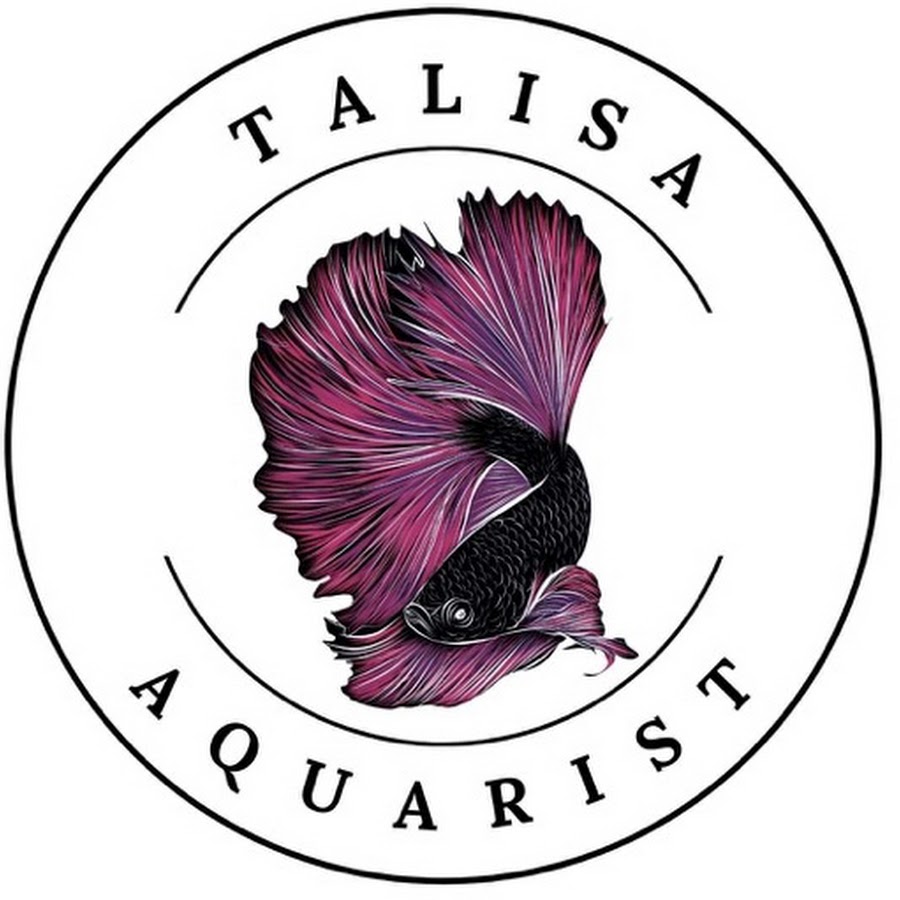 Talisa Aquarist