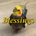 Bernie Bird Blessings