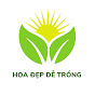 Shop Hoa Đẹp Dễ Trồng