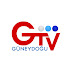 GÜNEYDOĞU TV