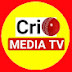 logo Media Tv