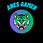 Anes Gamer