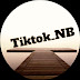 logo Tiktok_NB