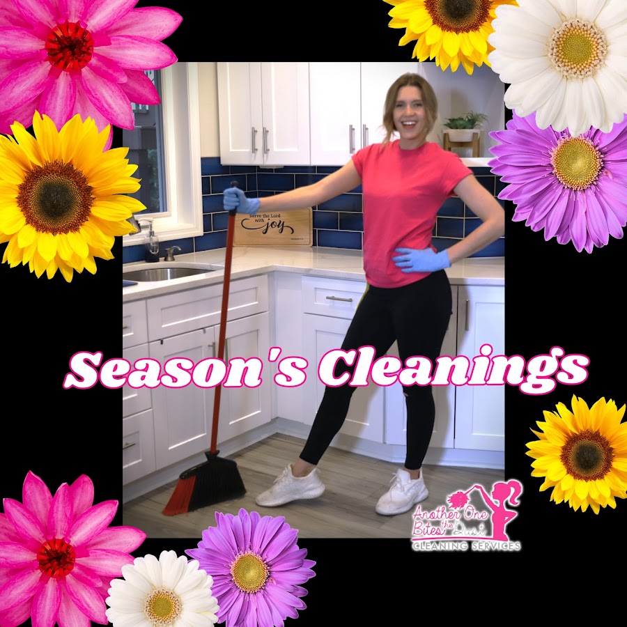 Another One Bites The Dust Cleaning Services