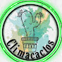 Climacactos