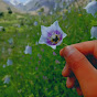 balti videos and nature beauty of baltistan