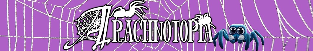 Arachnotopia 