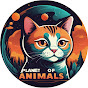 Planet Of Animals