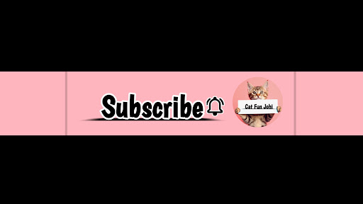 Fact With Johi banner