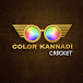 Color Kannadi Cricket