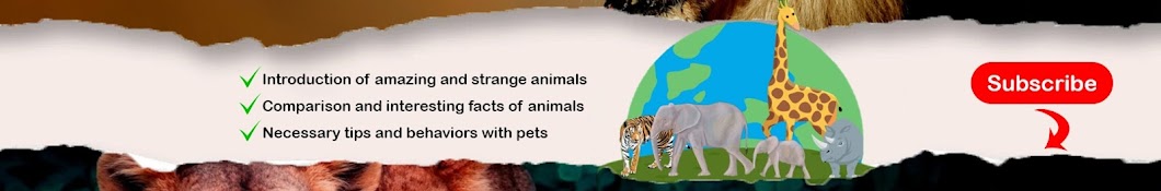 With Animals