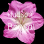 Hudson Bonsai