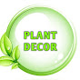 Plant Decor