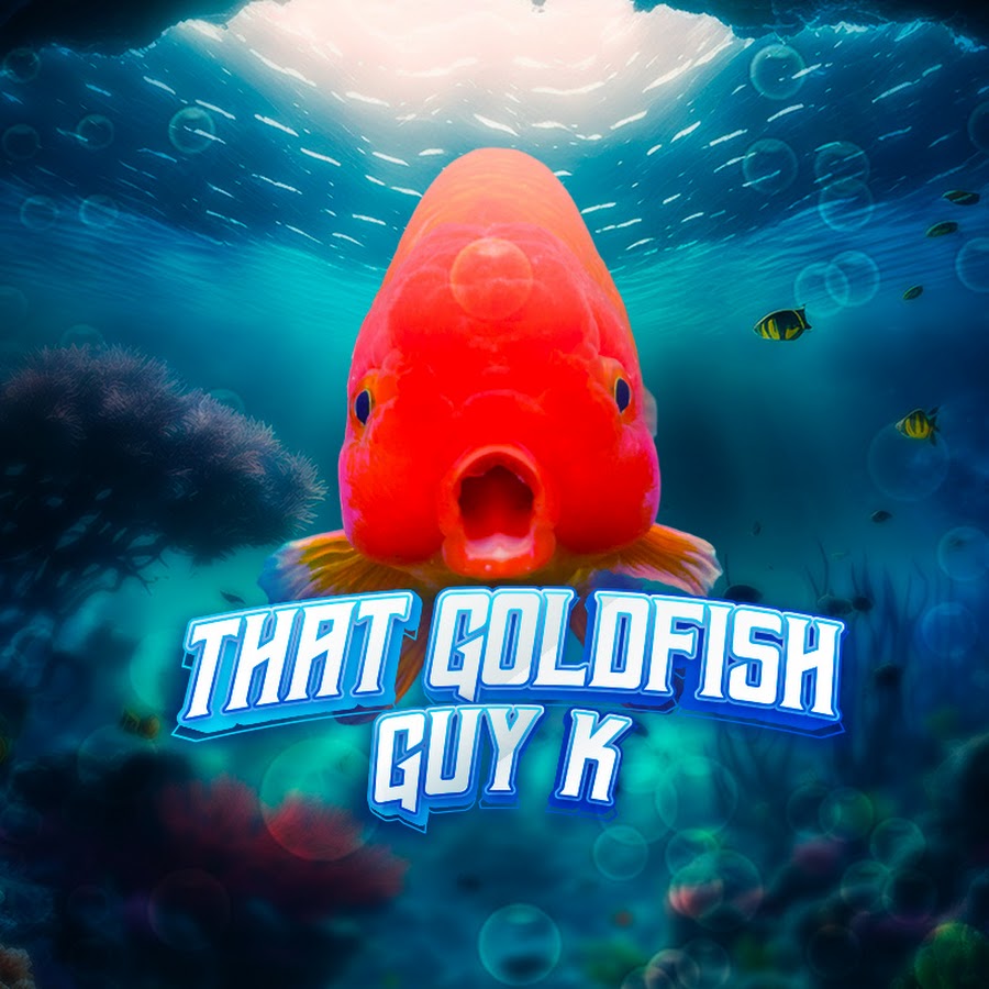 That Goldfish Guy K - YouTube