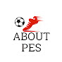 About PES