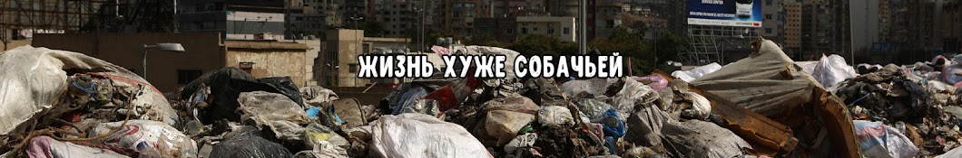 Жизнь хуже собачьей