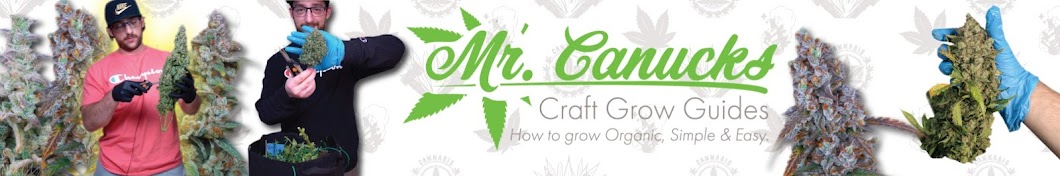 Mr. Canucks Grow Banner