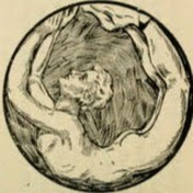 Stevens