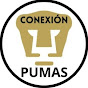 CONEXIÓN PUMAS