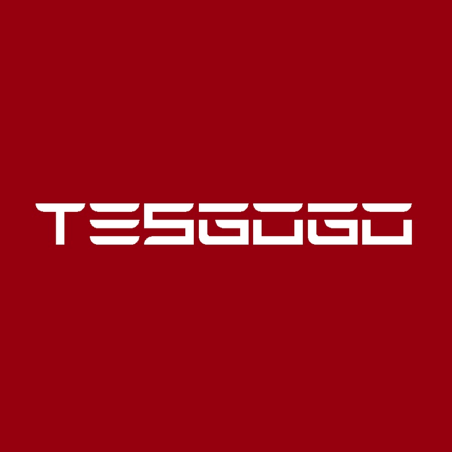 TESGOGO Tesla Model 3/Y/X/S T Light Rear LED Emblem/ Tesla Led