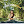 endlessyoga avatar