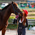 은지승마(Eunji"s  horse  riding TV)🐴🐴