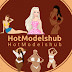 logo ChicCurvesHub