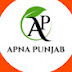 Apnapunjab1326