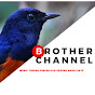 Brother Channel