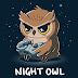 Night Owl Gaming